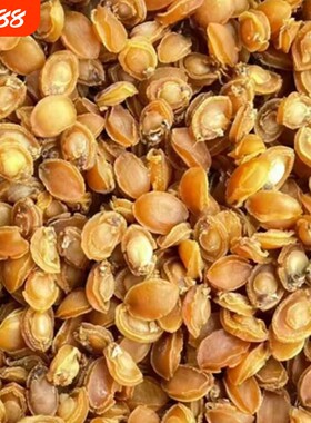 鲍鱼干货厚肉鲍鱼大连黄金干鲍仔迷你礼盒装货煲粥炖汤非即食