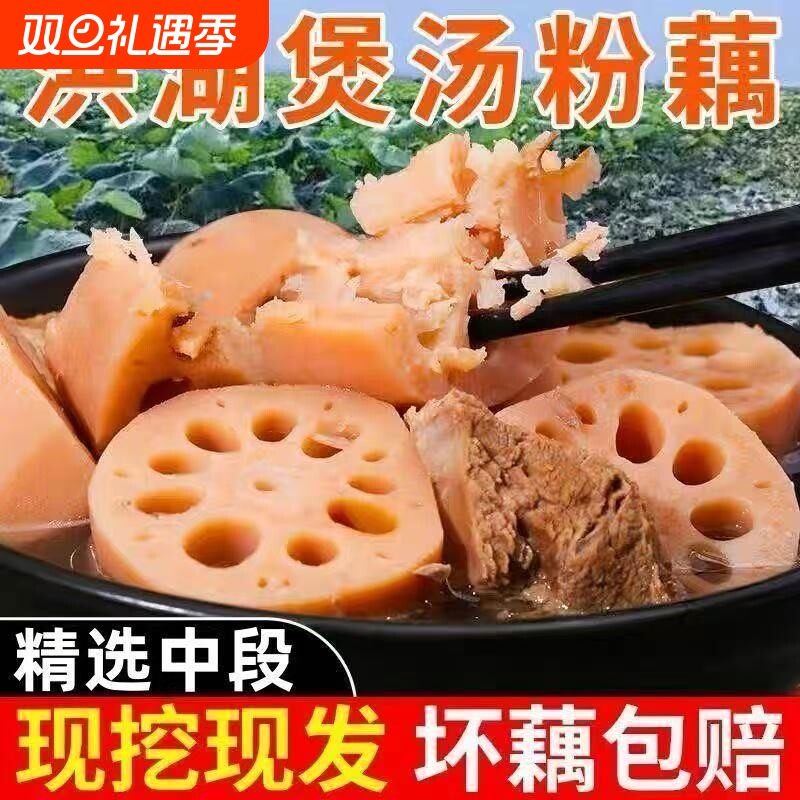 湖北洪湖粉藕莲藕炖汤粉藕