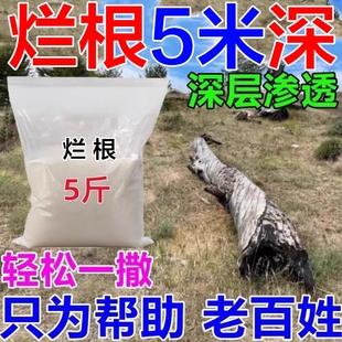 枯树药大树烂根树粉竹子杂草死树根强力腐蚀刹树王神器专用正品