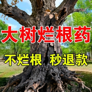 大树烂根腐i药大树一滴烂根强力腐树根剂清构树乔木枯专用枯树王