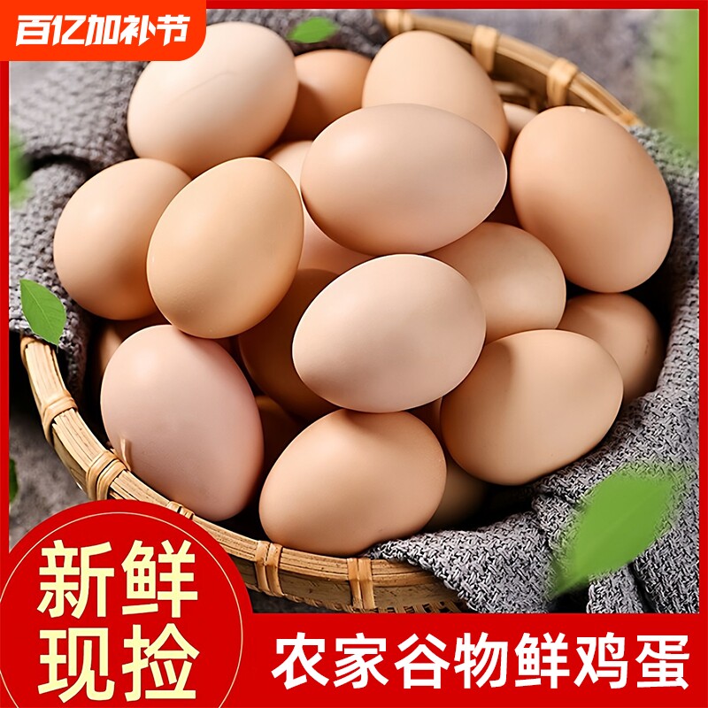 每日鲜捡鸡蛋谷物鲜鸡蛋笨鸡蛋农家自产初生虫草蛋新鲜早餐