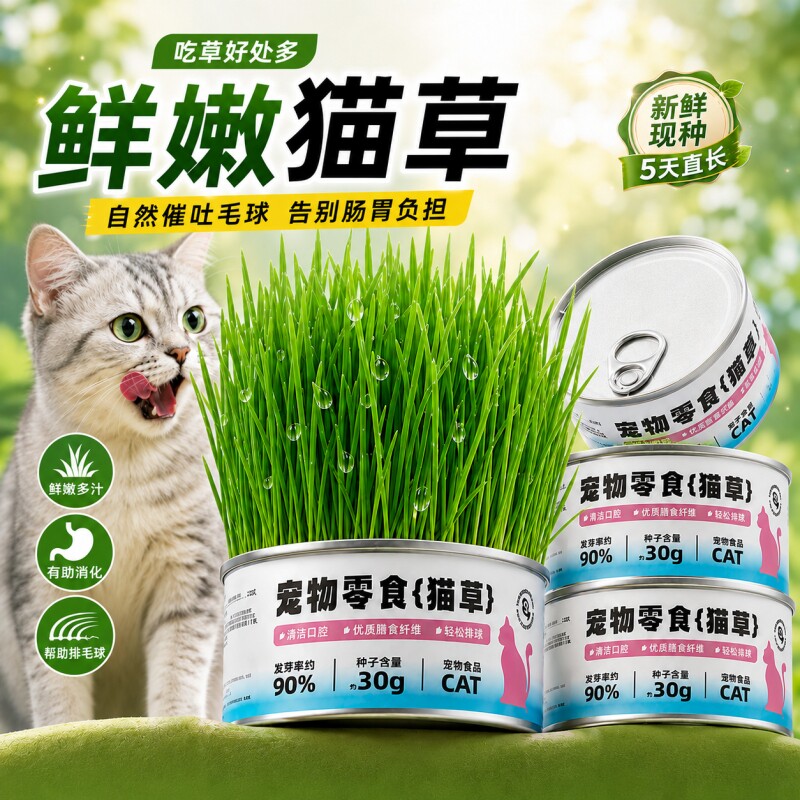 猫草罐头懒人薄荷猫草盆栽种植图片