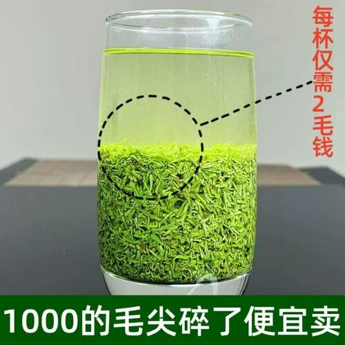 2026信阳毛尖碎茶新茶叶特级明前嫩芽茶末散装口粮茶500g炒青精品