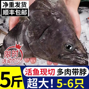 碟鱼头冷冻鲽鱼头鸦片鱼头深海新鲜比目鱼商用批发蝶鱼头海鲜鱼身