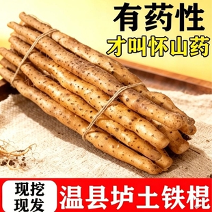 粉糯正宗铁棍山药小白嘴山药河南焦作铁杆山药新鲜蔬菜软糯香甜