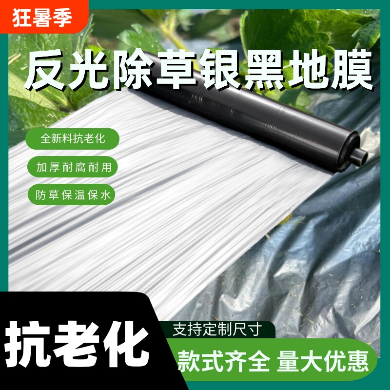 银黑双色地膜加厚蔬菜大棚反光防草大蒜草莓种菜薄膜种植果树保温 - 实物图