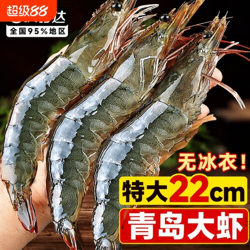 大虾鲜活特大号基围虾青岛海鲜生鲜冻虾整箱水产王牌速冻冷冻新鲜