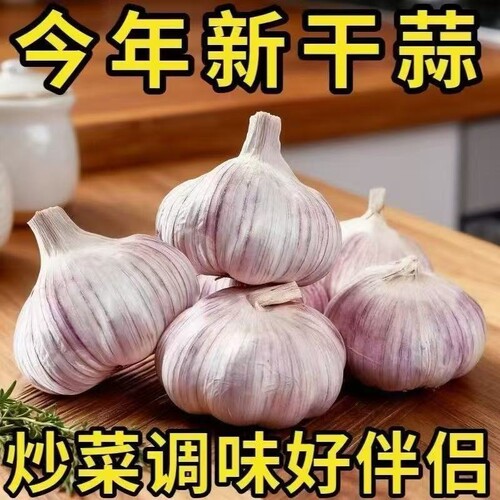 山东金乡新干蒜紫白皮大蒜多瓣大蒜头新鲜食用蒜子可做种可腌糖蒜
