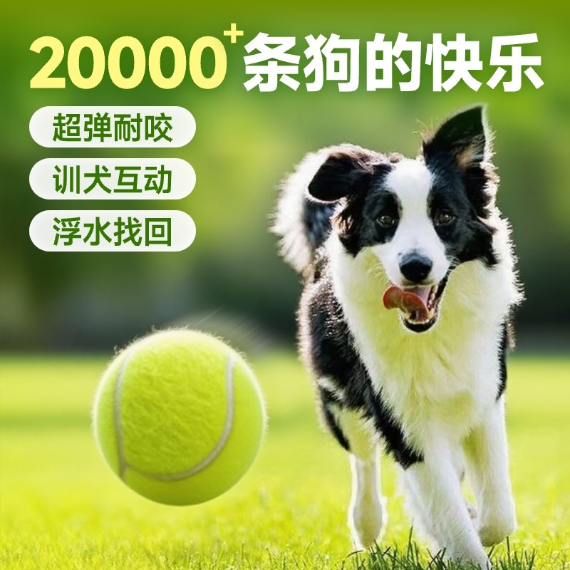 狗狗玩具球金毛弹力球耐咬磨牙网球宠物幼犬拉布拉多小狗训练橡胶