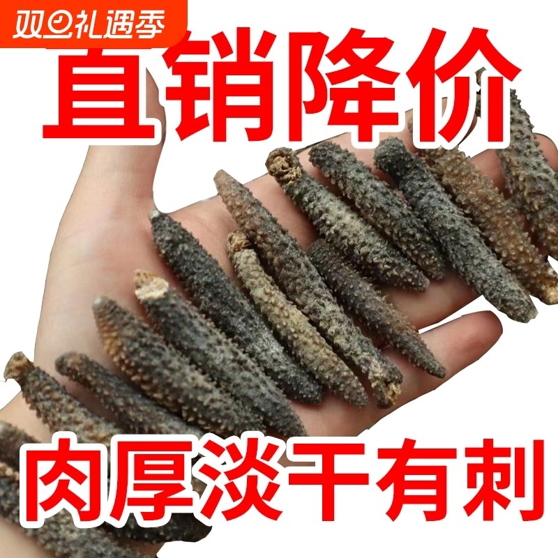 淡干野生海参干货500g散装海生海参海深孕妇非鲜活即食辽刺参水产