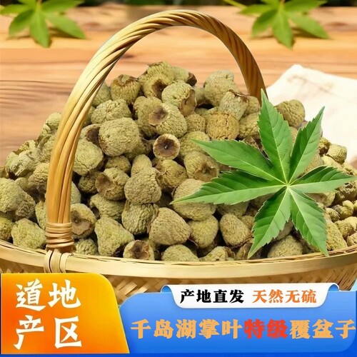 正宗千岛湖高山掌叶覆盆子中药材