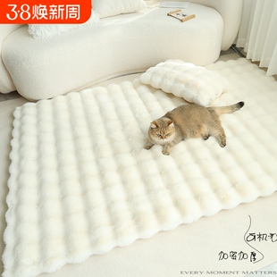 奶油风兔毛绒地毯地垫卧室床边毯客厅飘窗垫沙发毛毯垫子家用阳台