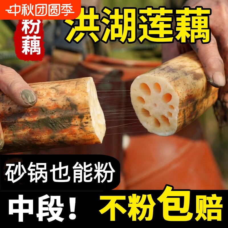 湖北洪湖莲藕新鲜现挖煲汤粉藕甜图片