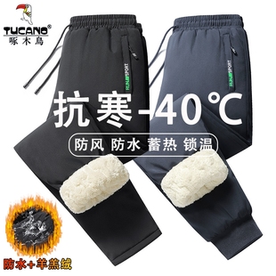男款 外穿防风保暖羊羔绒裤 冬季 冲锋裤 子男 加绒加厚男士 啄木鸟棉裤