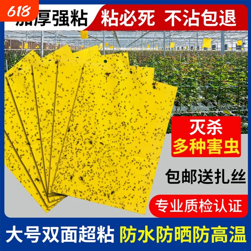 黄板双面粘虫板诱虫板贴纸灭小飞虫沾果蝇诱捕器果园蚊子苍蝇大棚