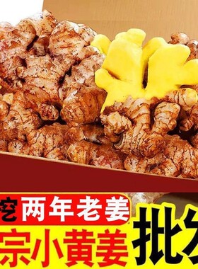 现挖老姜小黄姜生姜批发应季新鲜蔬菜调味料月子姜云南老黄姜食用