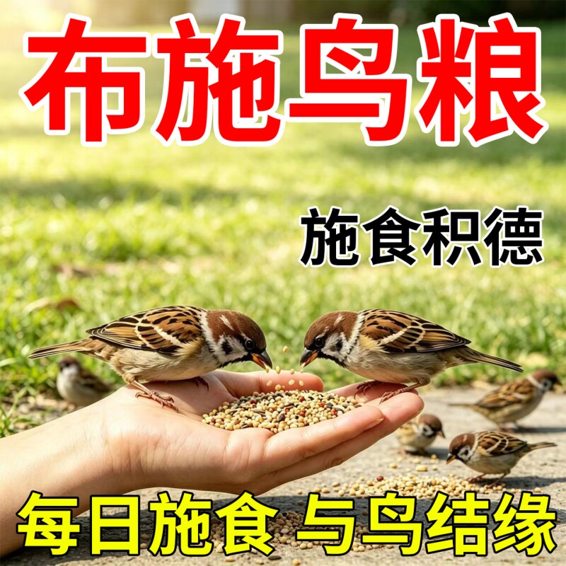布施鸟食鸟粮营养五谷黍子杂粮小米阳台野外救助麻雀喜鹊鹦鹉饲料图片