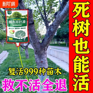 大树营养液吊针袋果树移栽树木激活液桂花树强力生根药水枯树复活