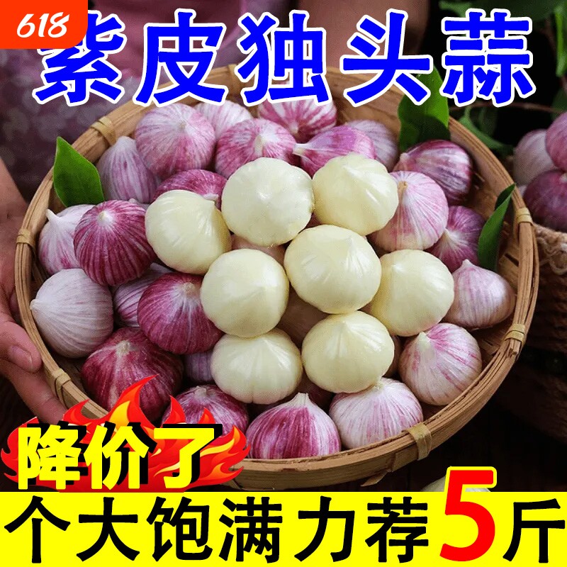 独头蒜紫皮云南2026湿蒜5斤独蒜大蒜头批发新蒜新鲜蒜头大蒜自种