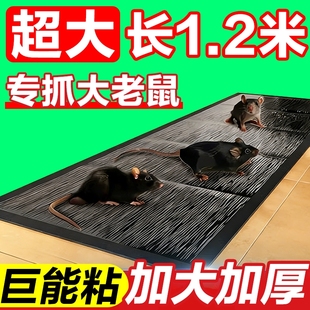 老鼠贴强力粘鼠板家用一窝端抓粘大老鼠胶正品 灭鼠魔毯驱捕鼠神器