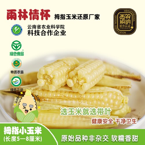 雨林情怀绿色食品拇指小玉米西双版纳非转基因拇指糯玉米真空包装