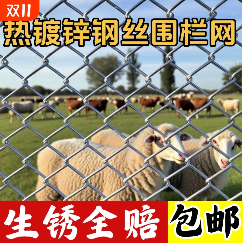 热镀锌铁丝网围栏网养鸡狗牛羊养殖网勾花网钢丝网户外防锈防护网