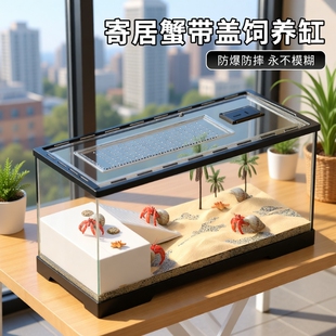 寄居蟹饲养箱生态亚克力小型桌面家用螃蟹沙蟹相守蟹乌龟造景缸