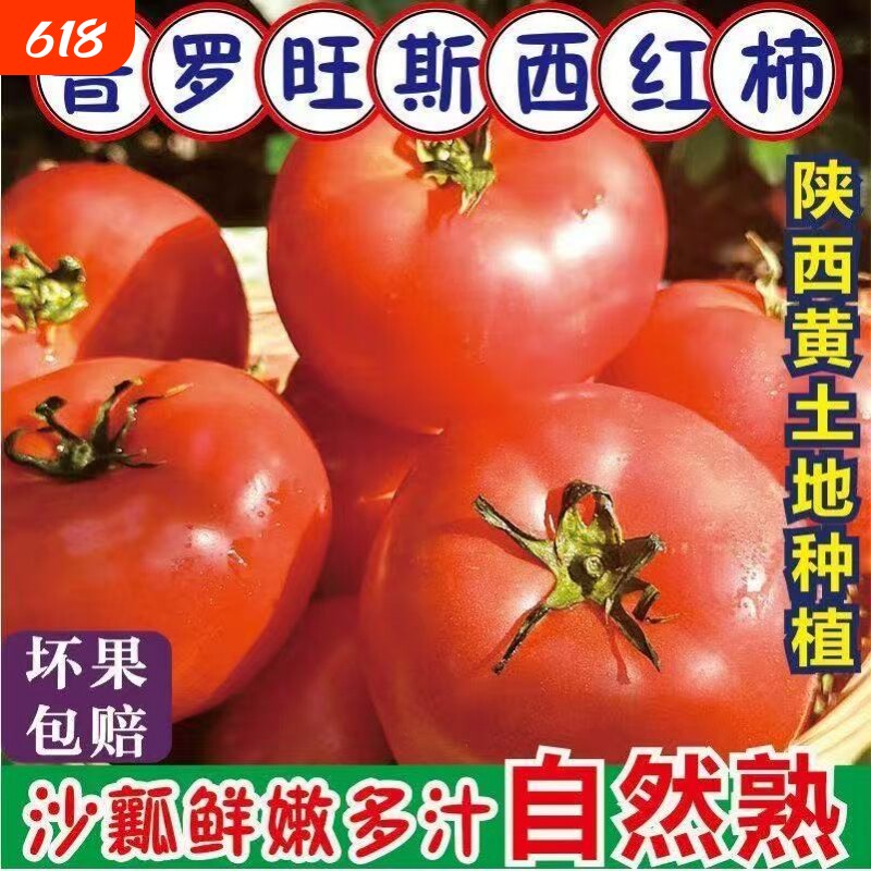 陕西渭南正宗新鲜普罗旺斯西红柿当季水果番茄现摘现发多汁自然熟