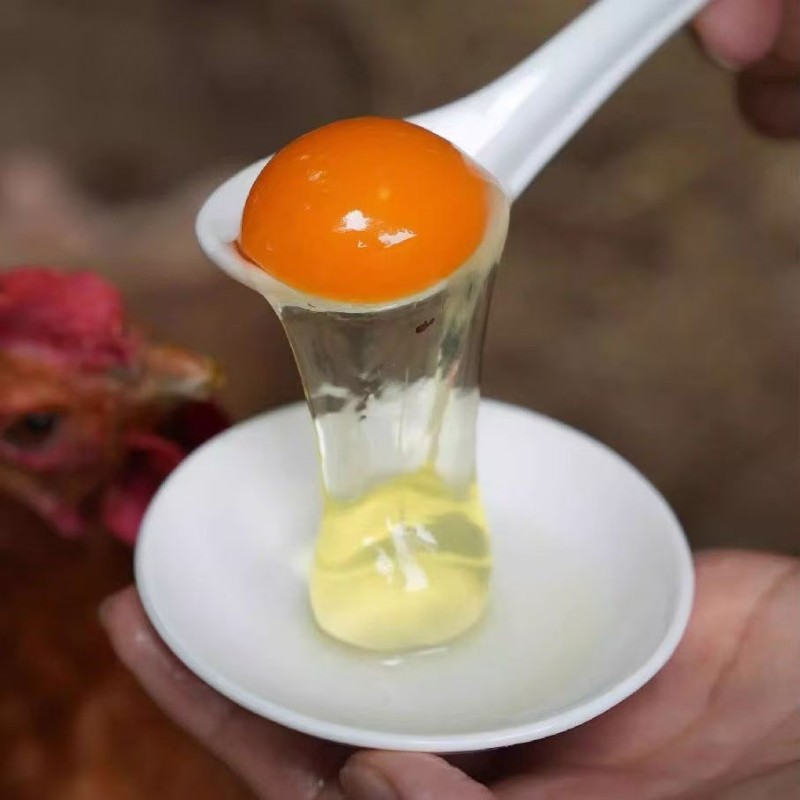 九华山正宗土鸡蛋虫草蛋农家散养新鲜笨鸡蛋竹林蛋柴鸡蛋20枚30枚