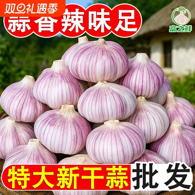 山东金乡紫皮大蒜头干蒜批发农家自种新鲜火锅蔬菜红皮大蒜子自提