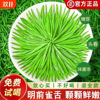 雀舌茶叶2025新茶明前特级绿茶贵州湄潭毛尖春茶嫩芽500g散装