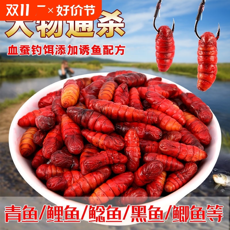 小药饵血蚕蚕蛹鲤鱼饵