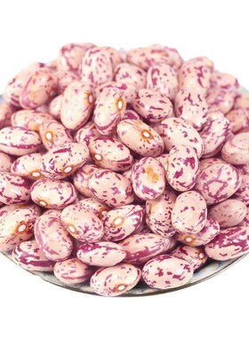 奶花芸豆雀蛋新货农家白花豆