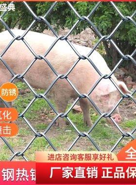 勾花网防护网热镀锌铁丝网围栏网养鸡狗牛羊养殖网钢丝网户外防锈