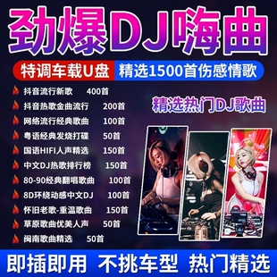 汽车载U盘2024抖音新歌曲无损高音质品质车用网红dj经典 音乐优盘