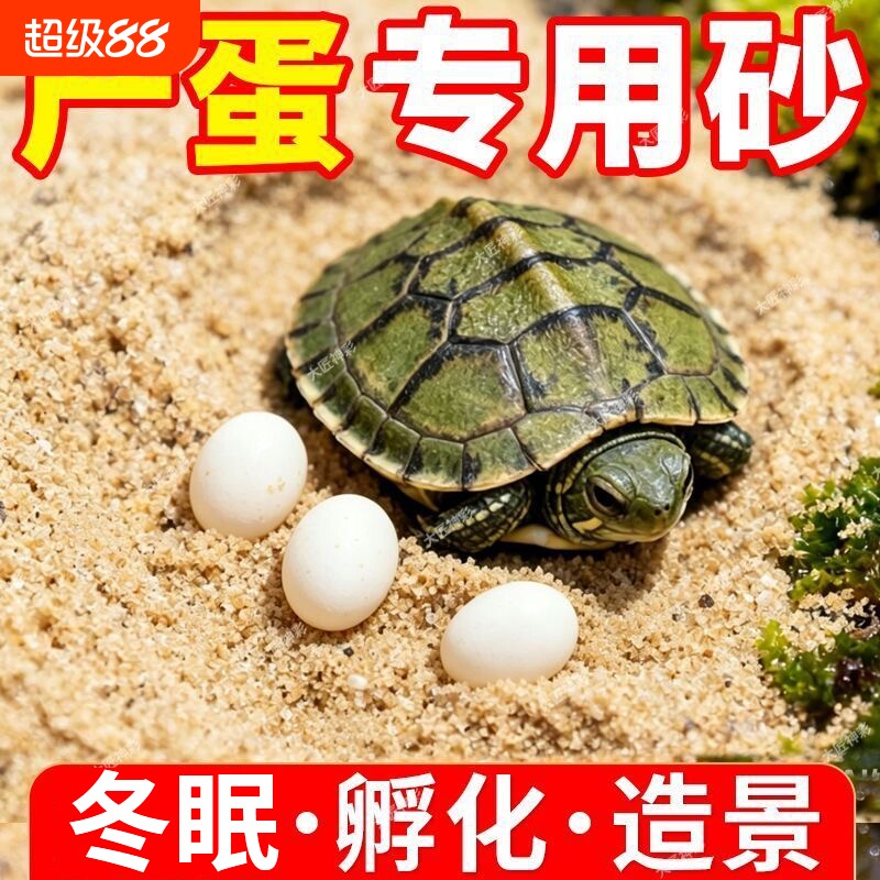 龟缸乌龟冬眠孵化用细河沙底砂草龟鳄龟巴西龟下蛋用砂子鱼缸造景图片