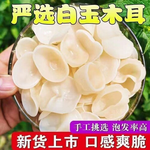 长白山大竹特产白玉木耳干货250g肉厚无根玉兔耳头茬新货火锅食材