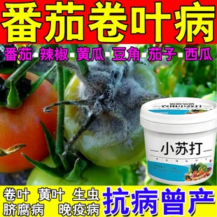 番茄卷叶病专用肥农用小苏打菌脐腐病缩叶黄叶落果黑斑灰霉病毒病