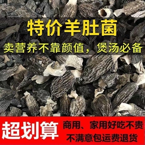 捡漏羊肚菌2024羊肚菌干货香菇羊肚菌破损碎片新货羊肚菌净重发货
