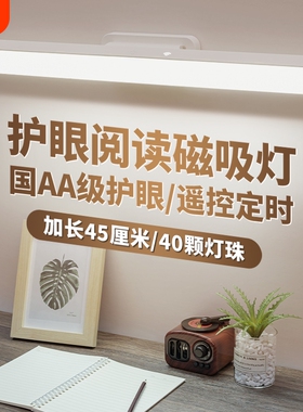 LED台灯护眼学习专用磁吸酷毙灯宿舍灯充电台灯遥控充电款桌面