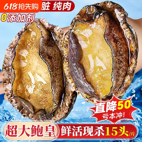 鲍鱼肉鲜活冷冻新鲜特大去壳小鲍鱼捞饭海鲜水产鱼商用官方旗舰店