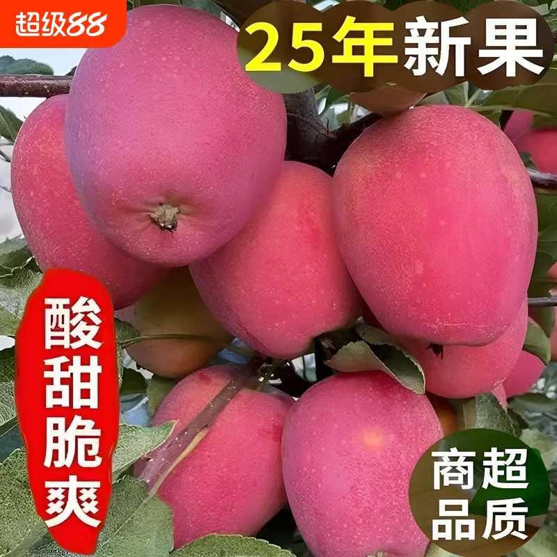 正宗东北鸡心果沙果海棠果小苹果糖心鸡心果当季孕妇水果酸甜大果