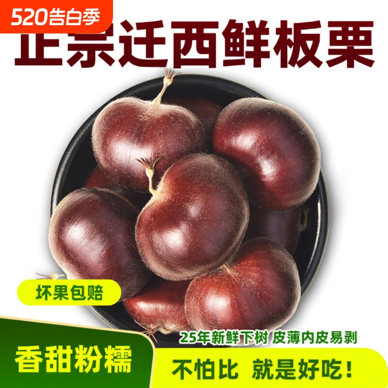 2026年迁西生板栗生栗子正宗燕山油栗子新鲜板栗生新鲜好去皮