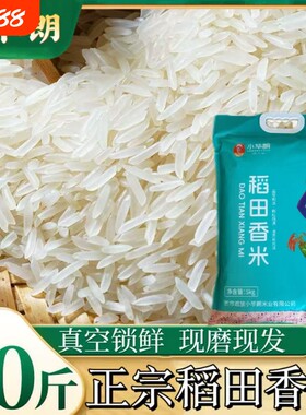 云南特产遮放当季新米软米10斤软糯优质大米原粮米饭真空现磨米业