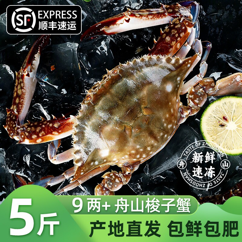 [冻蟹]舟山梭子蟹新鲜生鲜冷冻部分次日达特大螃蟹蜞飞蟹子海蟹