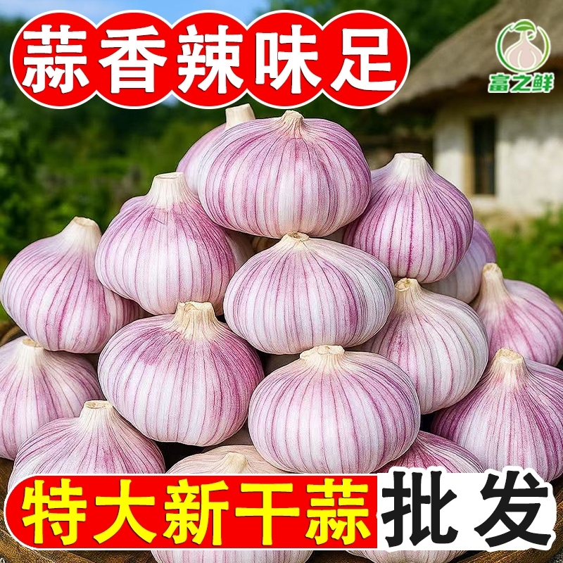 【出口新蒜】山东金乡紫皮新干蒜