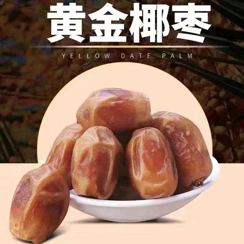 冷小知黄金椰枣伊拉克黄椰枣蜜饯休闲解馋小零食特产新鲜无添加