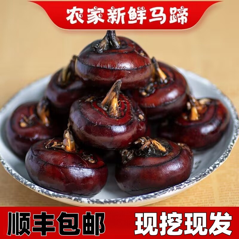 新鲜现挖大果安徽马蹄荸荠