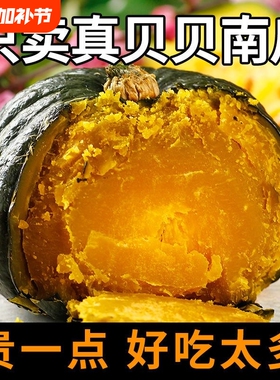 正宗贝贝南瓜板栗味新鲜小南瓜当季蔬菜宝宝儿童粉糯老南瓜粗粮