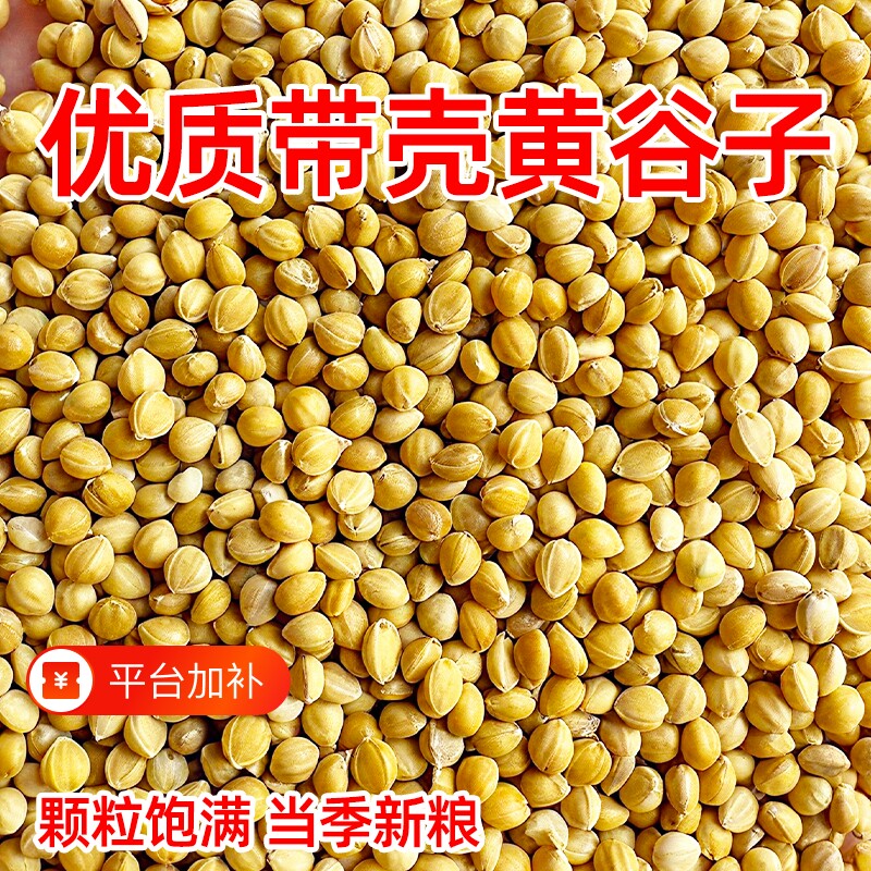 宠大条鹦鹉新黄谷子鸟粮鸟饲料带壳小米虎皮牡丹珍珠鸟饲料小鸟食